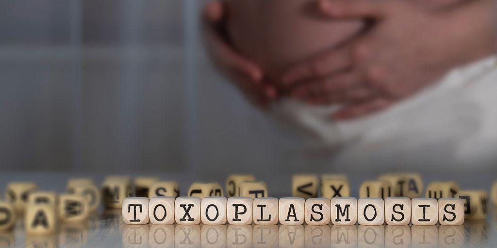 toxoplasmosi gravidanza